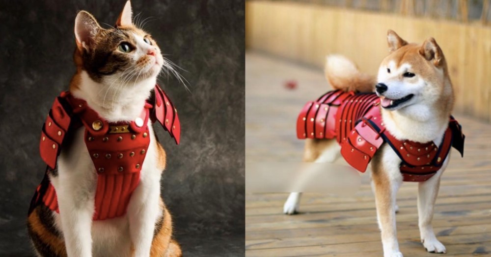 猫 犬用の ペット鎧 が可愛くって勇ましいいいい お猫様 お犬様 と呼びたくなります Pouch ポーチ