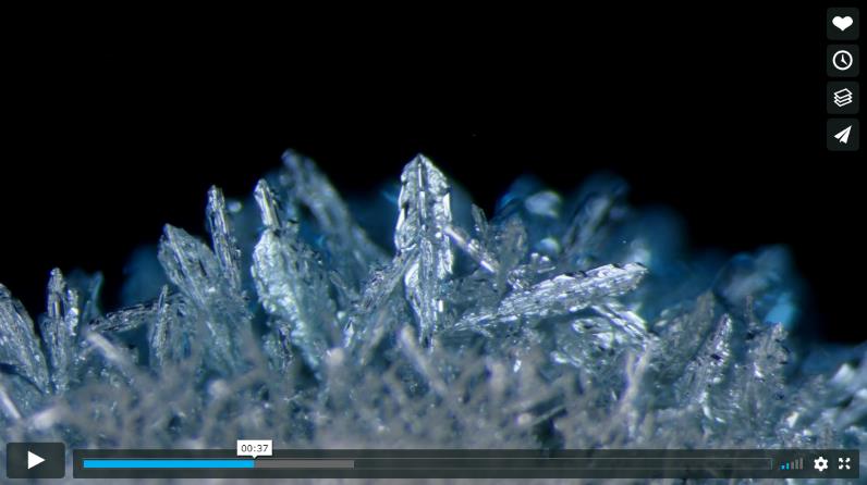 化学反応をとらえた映像」が時間を忘れる美しさ…画面に表示される