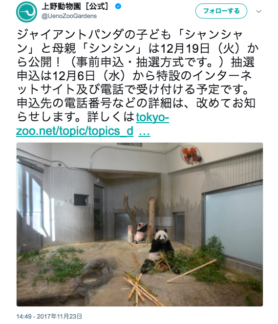 【本日から】上野動物園の赤ちゃんパンダに会うための申し込みがスタート！ 1月末までは抽選方式で会うことができます