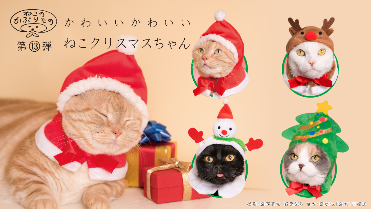 クリスマスっぽく変身した愛猫とホーリーニャイト ねこのかぶりもの シリーズの新作が爆裂かわいいです Pouch ポーチ
