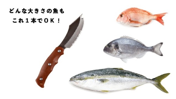 魚を簡単にさばける サカナイフ が超便利そう ウロコ取りから骨を切る刃までついて3枚下ろしがキレイにできるよ Pouch ポーチ