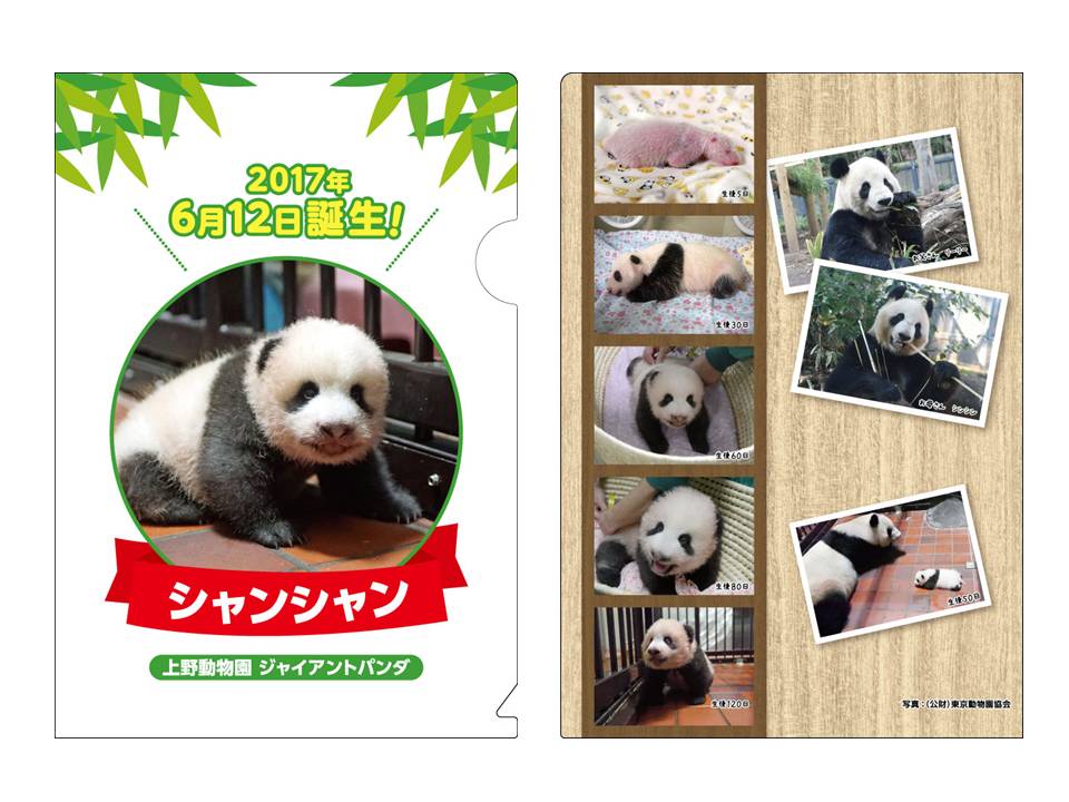 きゃわあああ♡】上野動物園の子パンダ「シャンシャン」の切手セットが発売されるよ〜！ 成長日記とクリアファイルも付いてきます | Pouch［ポーチ］