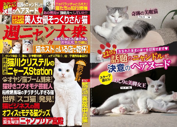 あの 週刊大衆 もついに猫化しちゃって 週ニャン大衆 発売 話題のニャンドルがまさかの袋とじグラビアに挑戦ーーーっ Pouch ポーチ