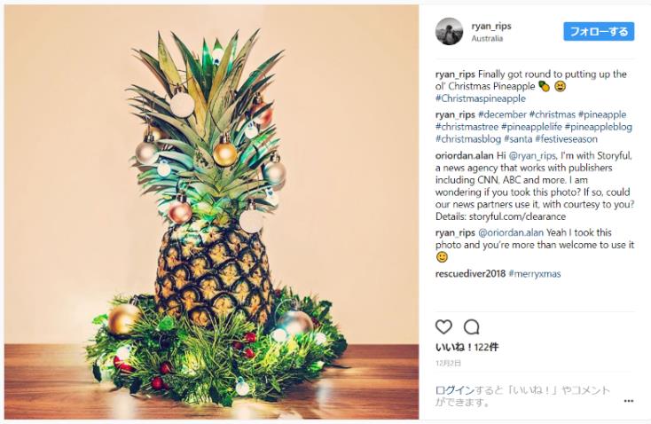 もみの木がなければ パイナップルをクリスマスツリーにしちゃえばいいじゃない 南半球向きだけどマネしたくなる パイナップルツリー Pouch ポーチ