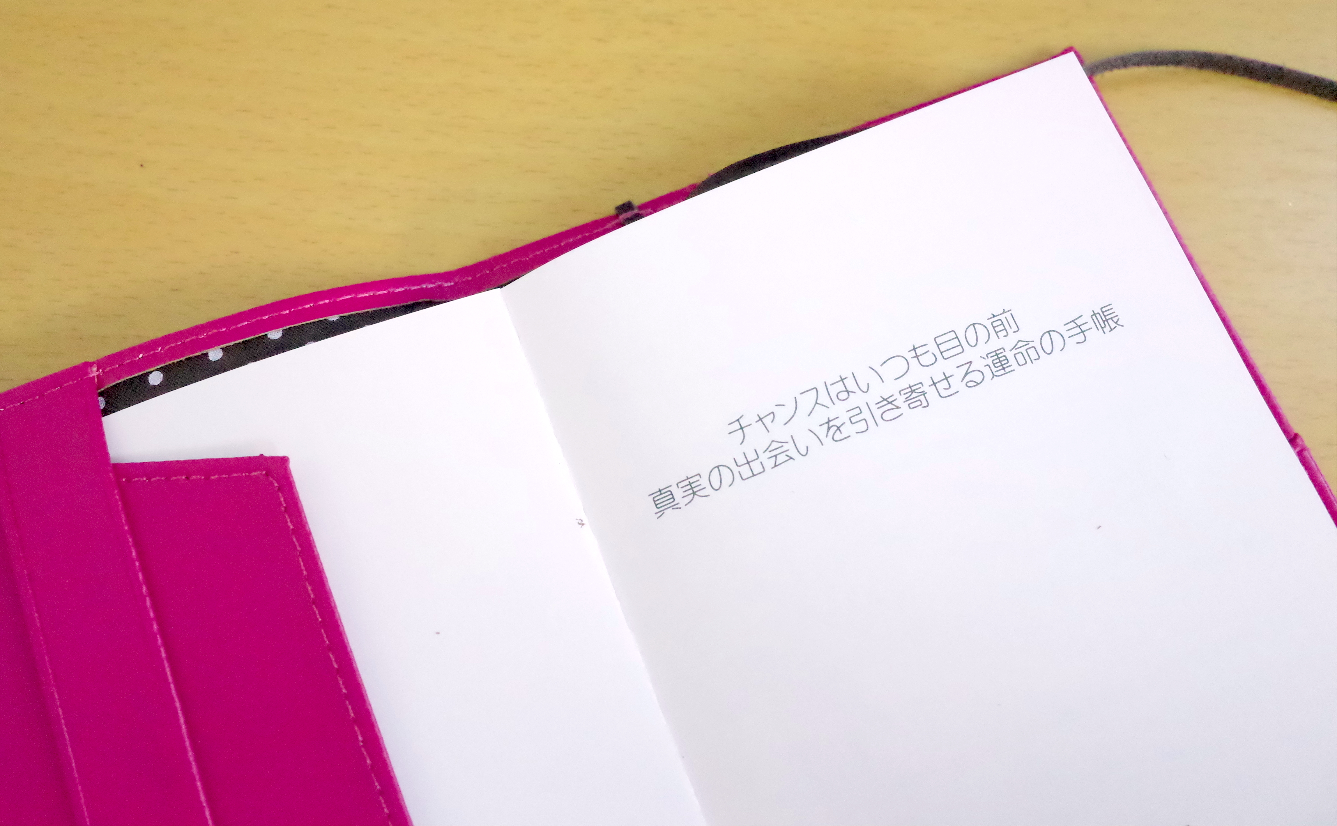 約2万円もする 婚活手帳 を買ってみた 毎日占い付き 辛口恋愛アドバイスが染みる Pouch ポーチ