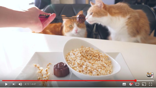 猫に見守られながら丁寧に作る「お米ポップコーン」動画に世界中が癒される / 開始5秒で気持ちよくなる世界観です