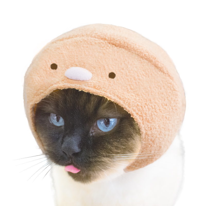猫」といえば隅、隅といえば「すみっコぐらし」 人気キャラたちが猫