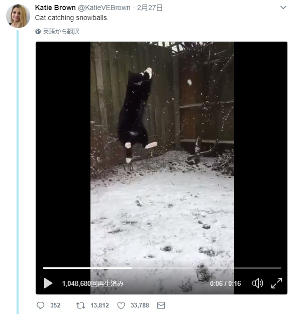 猫がジャンプからの雪玉をキャーーッチ!!の動画がかなりスゴイ / 「次の冬季オリンピックに参加すべき」「ウチの2匹は外に出ようともしないわ」と話題に