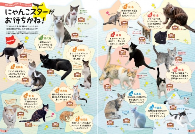 地球の歩き方に猫版『島旅 ねこ』が登場したニャー！ 猫が暮らす日本全国12の島々を網羅できちゃいます