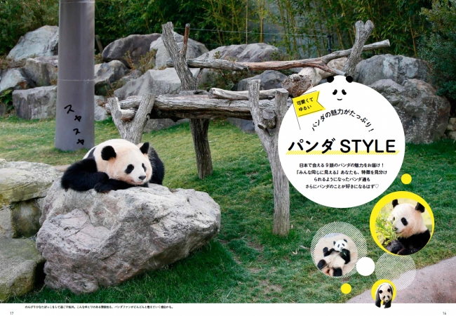 シャンシャンに会いに行けないなら、シャンシャンのグラビアを買えば