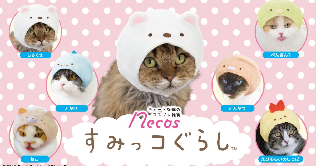 猫 といえば隅 隅といえば すみっコぐらし 人気キャラたちが猫さま専用のかぶりものになりました Pouch ポーチ