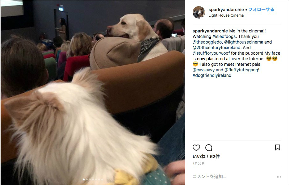 うらやましい 映画館に犬 犬 犬 愛犬と一緒に ワンコ映画 を鑑賞するイベントがアイルランドで開催されました Pouch ポーチ