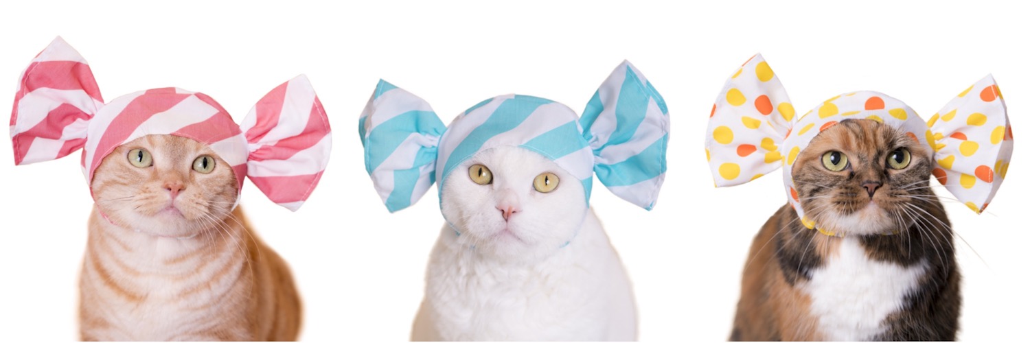 苺キャンディ♡猫ちゃん 苺キャンディ♡猫ちゃん