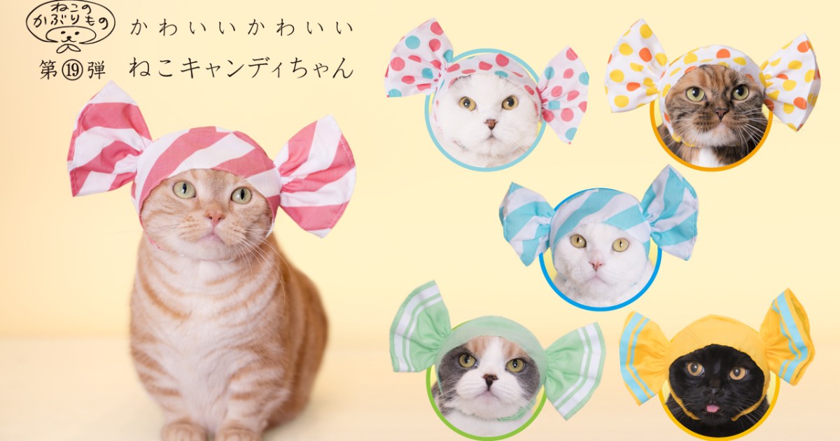 ねこのかぶりもの】猫さまが甘いキャンディーに大変身！ 「かわいい 