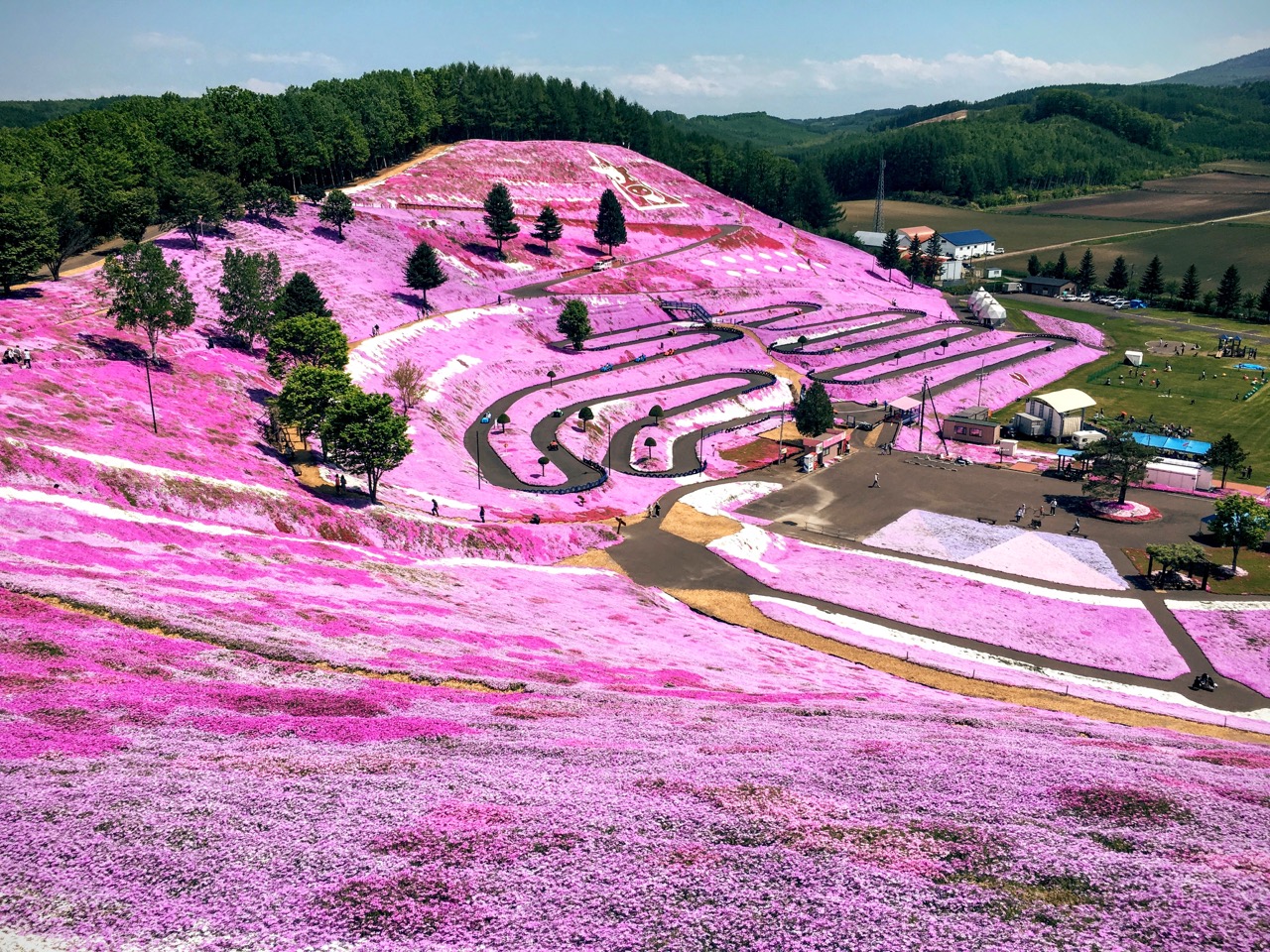 【これぞ絶景】一面ピンクに広がる芝桜に感激！ 北海道・網走の「ひがしもこと芝桜公園」を全力でご紹介します！ Pouch[ポーチ]