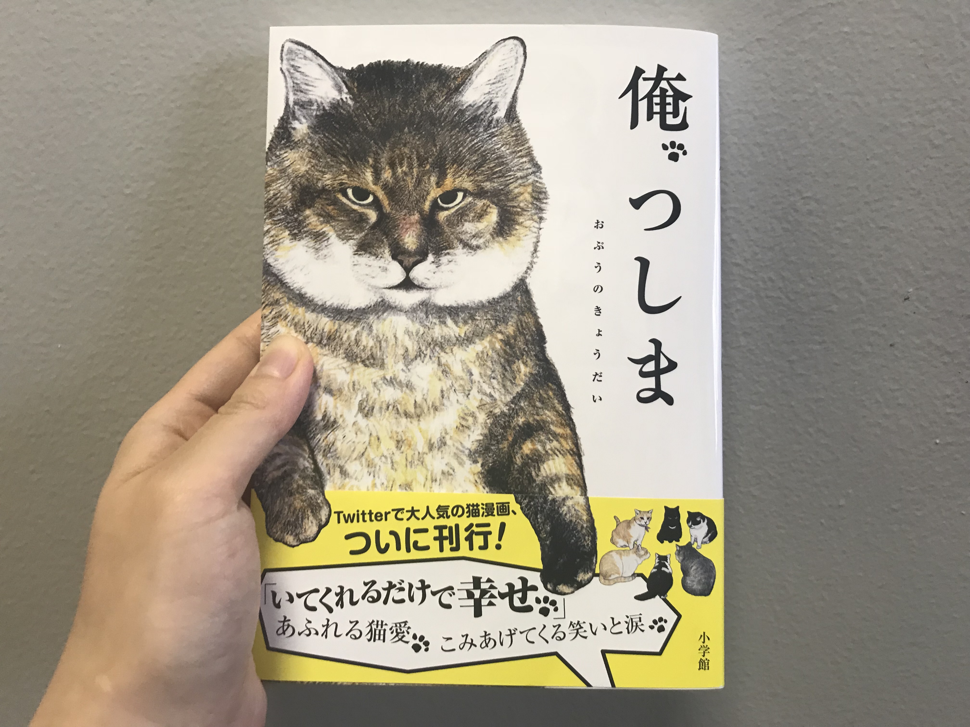 書籍 俺 つしま はこれから猫を飼いたい人必読 必ずやってくる愛猫との別れ や つしまの元飼い主の話 など大切なことが書かれていました Pouch ポーチ