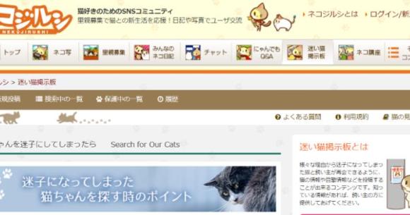 大阪北部地震】地震に驚いて逃げた猫を探すなら「ネコジルシ」が便利そうです/ 捜索のほか、保護した情報も掲載できます | Pouch［ポーチ］