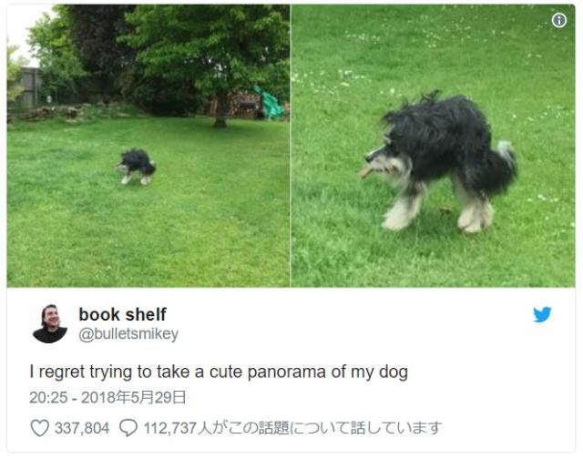 【奇跡の1枚】広い庭で愛犬をパノラマ撮影した結果…ワンコの体が圧縮されて謎の生物が爆誕したでござる