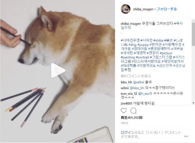 天才 今にも動き出しそうなほどリアルな柴犬を描く画家を発見 できあがった絵に話しかけてみたところ Pouch ポーチ