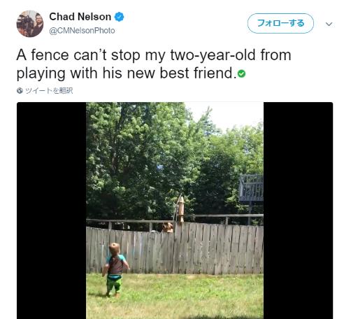 【平和かわいい】2歳の息子がお隣のワンコとフェンス越しにキャッチボール！ ふたりはもう親友なのだ♪