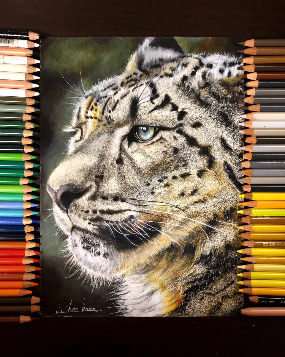 神業 16歳の男子高校生が色鉛筆で描くユキヒョウが写真のような美しさ 色鉛筆歴1年半でこの完成度です Pouch ポーチ