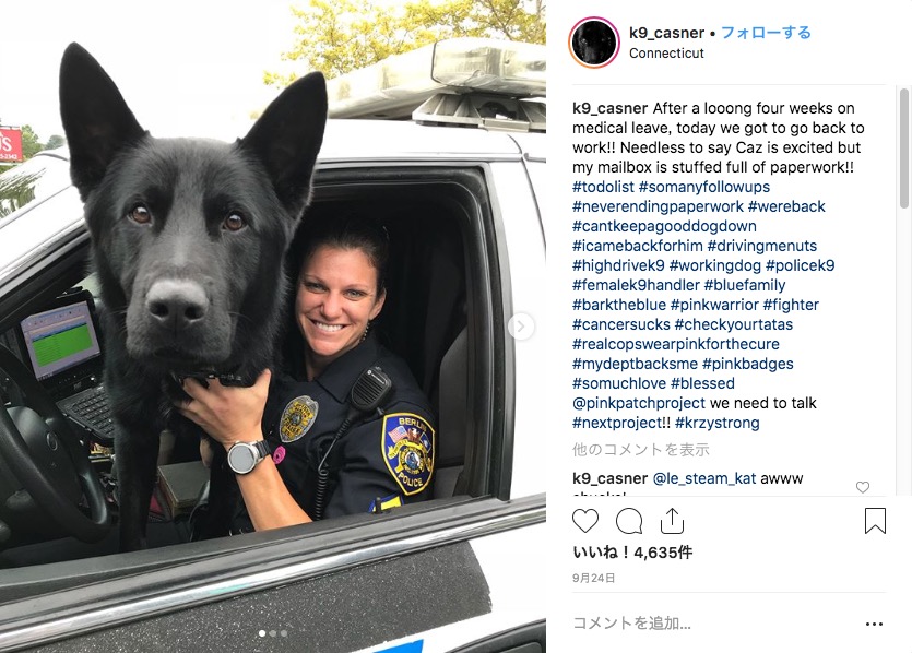 ワンコにだってオンとオフの顔がある 警察犬の日常生活を紹介するインスタアカウントにご注目 Pouch ポーチ