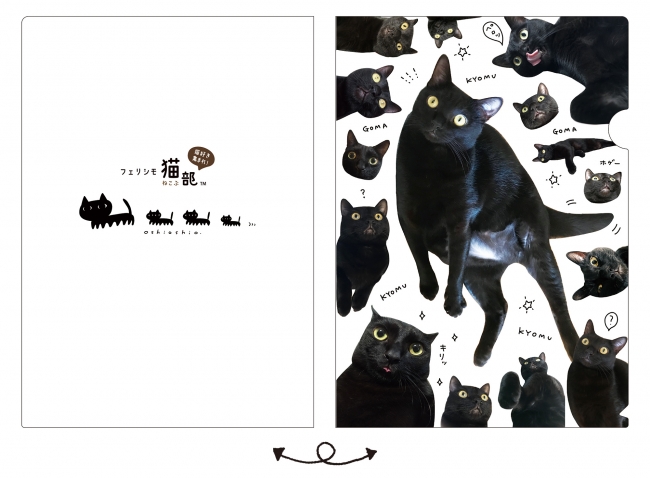 虚無顔” が魅力の黒猫グッズがたまらん可愛さ！ 顔圧が強めな「ごま