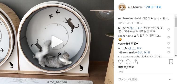 猫用の 回し車 でネコは遊んでくれるのか 走ったり歩いたりと結構気に入ってるみたいです Pouch ポーチ