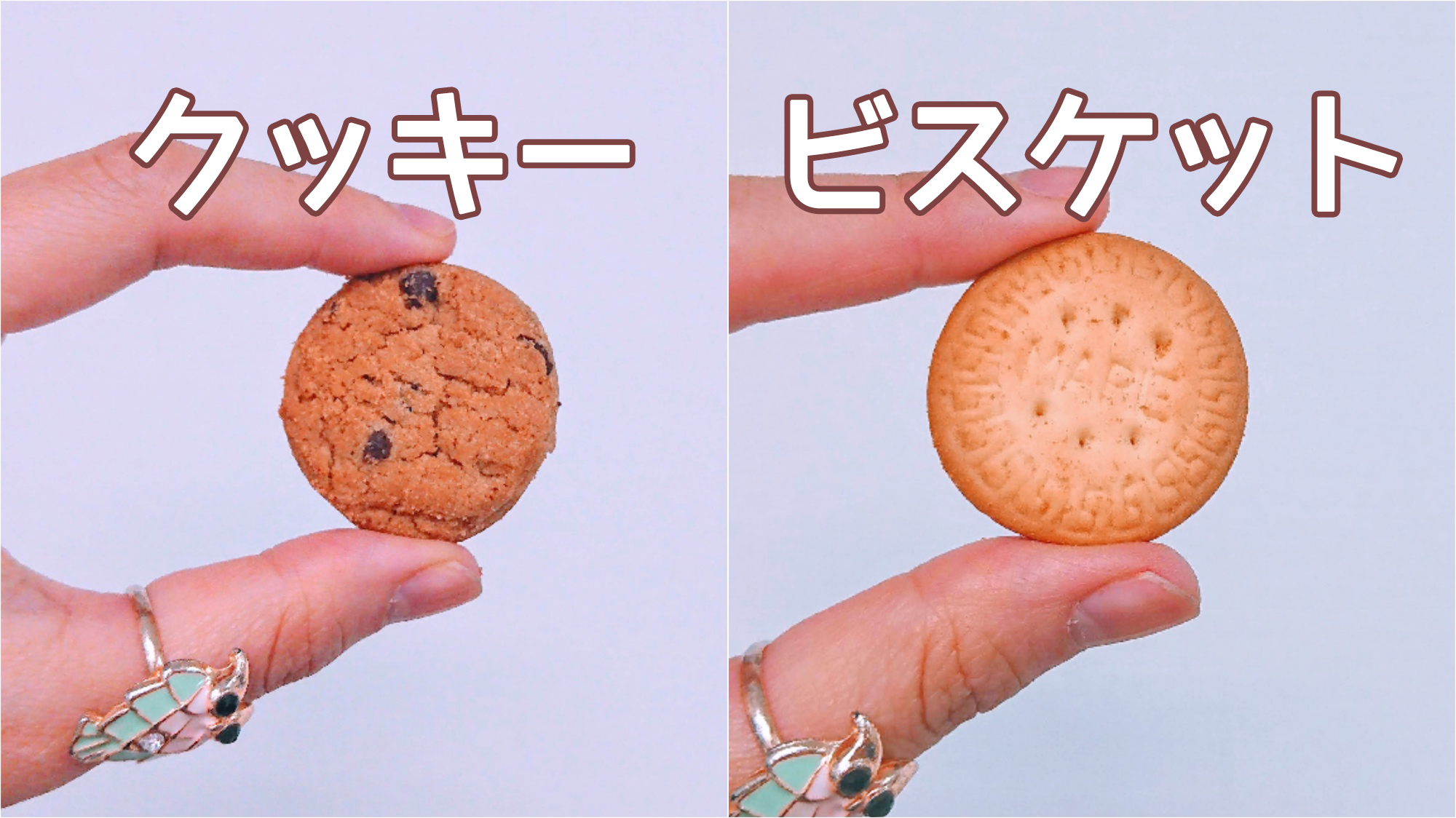 素朴な疑問 クッキーとビスケットの違いって何 調べてみたら日本と海外で違う食べ物になることも Pouch ポーチ