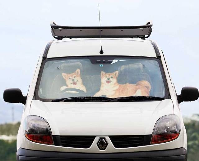 車であなたをお出迎え フェリシモの 動物サンシェード がキュートで癒される パンダ 犬 猫の3種類があるよ Pouch ポーチ