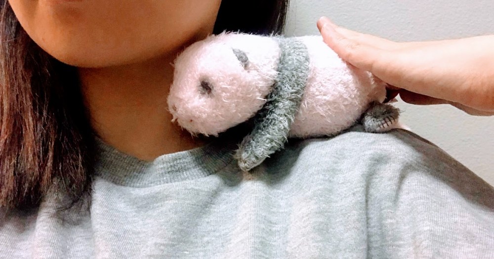 生命を感じる】 即完して話題になった生後10日目の「シャンシャン 
