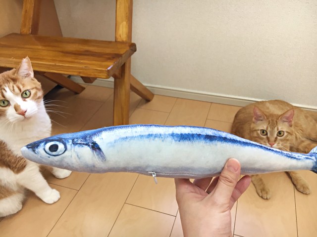 検証 猫は リアルな魚のぬいぐるみ で遊ぶのかプレゼントした結果 海老のように興奮するではないか Pouch ポーチ