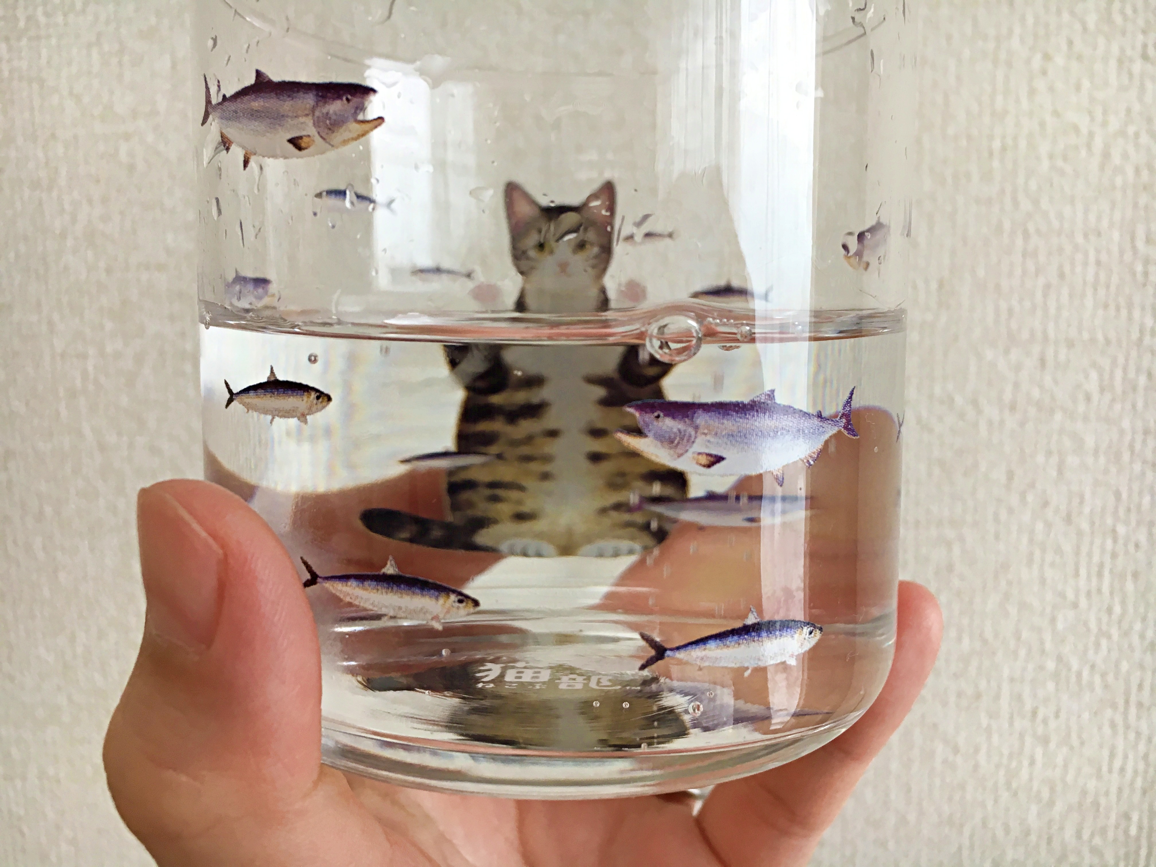 グラスに水を注ぐと…魚を見つめるお猫さまがみょ〜んと幅広に！ ふふっと癒やされる「にゃんこグラス」 | Pouch［ポーチ］