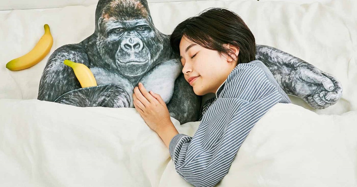東山動植物園のイケメンゴリラが超リアルな腕枕クッションに たくましい胸板も完全再現で朝まで安眠できそうよ Pouch ポーチ