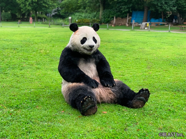 本物かと思いきや 着ぐるみ 超絶リアルな パンダの着ぐるみ がレンタルサービスを開始しました Pouch ポーチ