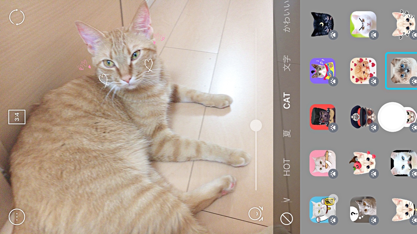 カメラアプリsnowに 猫に反応するスタンプ が出たニャ 飼い猫と一緒に遊んだらめちゃくちゃ癒やされた Pouch ポーチ