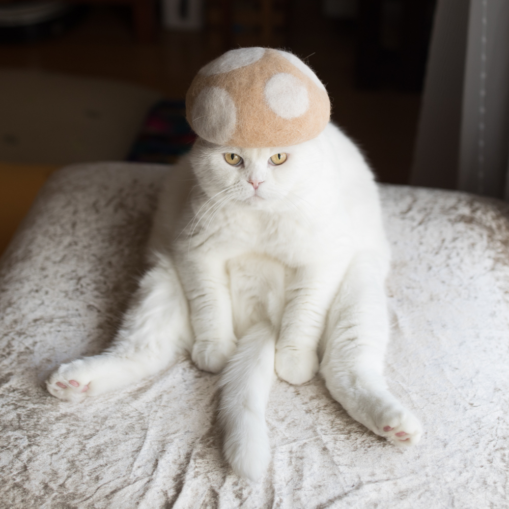 猫の抜け毛で帽子を生み出す技術がすごい 時事や季節をネタにしたりと可愛い上に奥深い作品ばかりなのです Pouch ポーチ