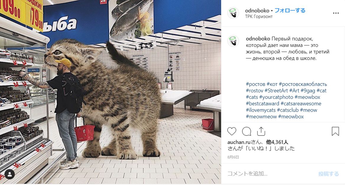 なんてメルヘン 世界に大きな猫がいたならば を生み出すロシアのインスタグラマーの作品が素敵です Pouch ポーチ