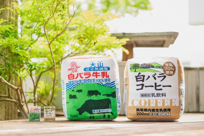 白バラ牛乳」と「白バラコーヒー」が巨大クッション化！ こだわりの