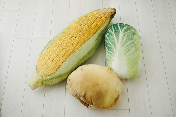 お家が野菜畑に!? リアルなとうもろこし、じゃがいも、白菜の「巨大お