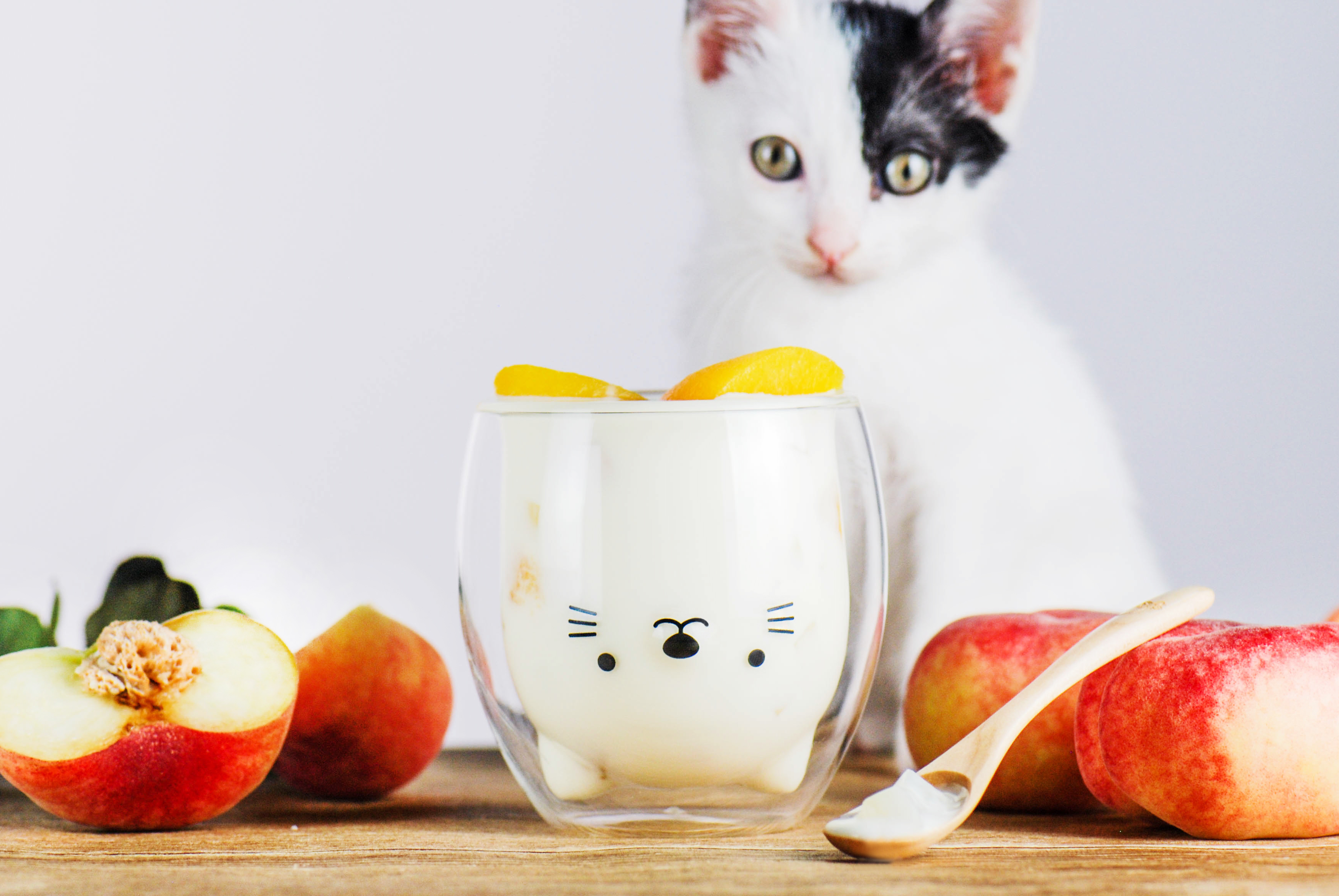 ドリンクを注ぐと「ねこ」や「いぬ」が浮かび上がるっ♪ 台湾発の 