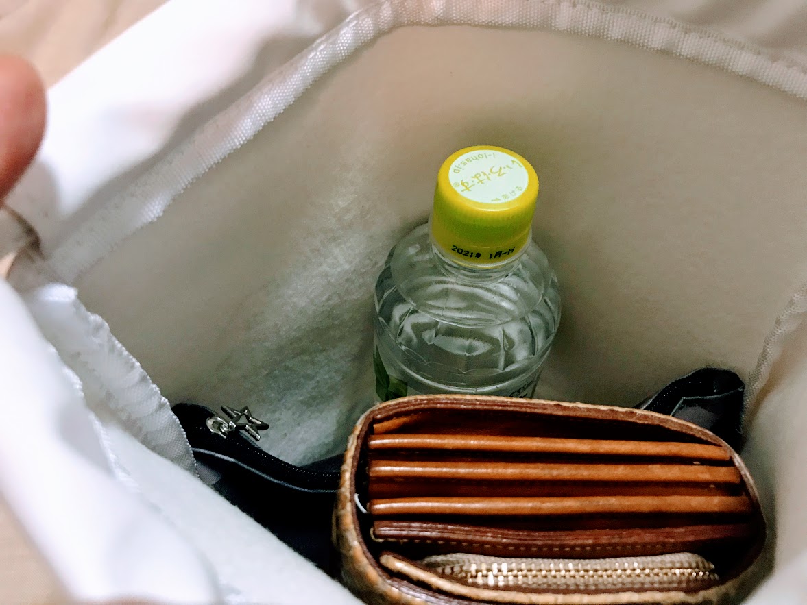 付録レビュー】『オトナミューズ』11月号の「リトルミイ レザー調巾着