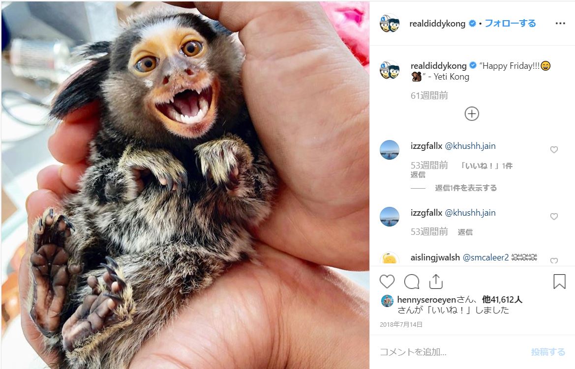 ジャニ系男子みたいな完璧スマイルをみせる小動物を発見 しょんぼり顔の相棒といいコンビなのです Pouch ポーチ