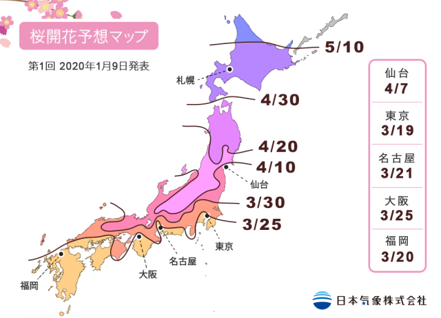 2020年桜開花予想が発表されたよーっ！ 今年は例年より1週間早く3月19日から桜が咲き始める!?