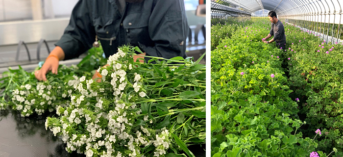 無印良品が生産者を応援 行き場を失くした 花 や いちごミルク を都内を中心とした店舗で販売 Pouch ポーチ