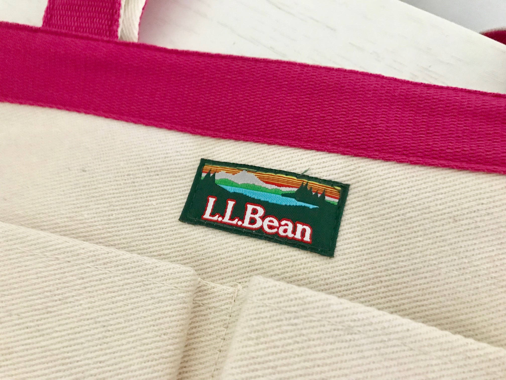 即完の予感】GLOW5月号の「L.L.Bean BIGトートバッグ」は付録とは思え 