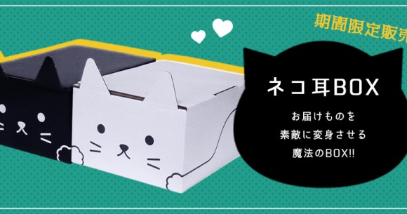 クロネコヤマトの ネコ耳box がかわいい 黒ネコはもちろん白ネコバージョンもあるよ Pouch ポーチ
