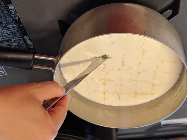 1980円の「手作りチーズキット」でモッツァレラチーズを作ってみた！ めちゃめちゃ難易度高いらしいけど果たして…!?