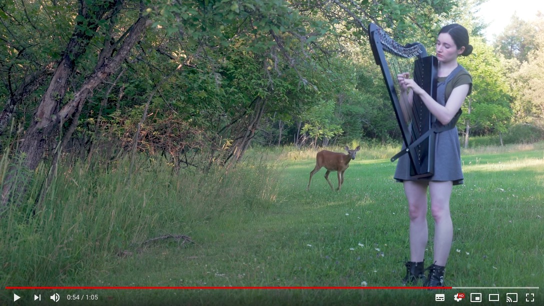まるでバンビの世界のよう 森でハープを演奏していたら鹿がひょっこりあらわれた Pouch ポーチ