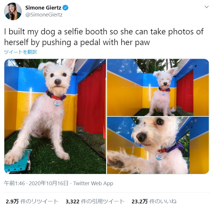 犬が自分でシャッターを押して自撮りできる 愛犬のために作った 犬用セルフィーブース がネットで大人気 Pouch ポーチ